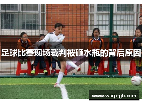 足球比赛现场裁判被砸水瓶的背后原因