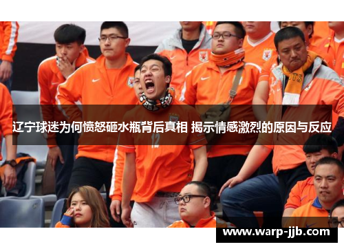 辽宁球迷为何愤怒砸水瓶背后真相 揭示情感激烈的原因与反应